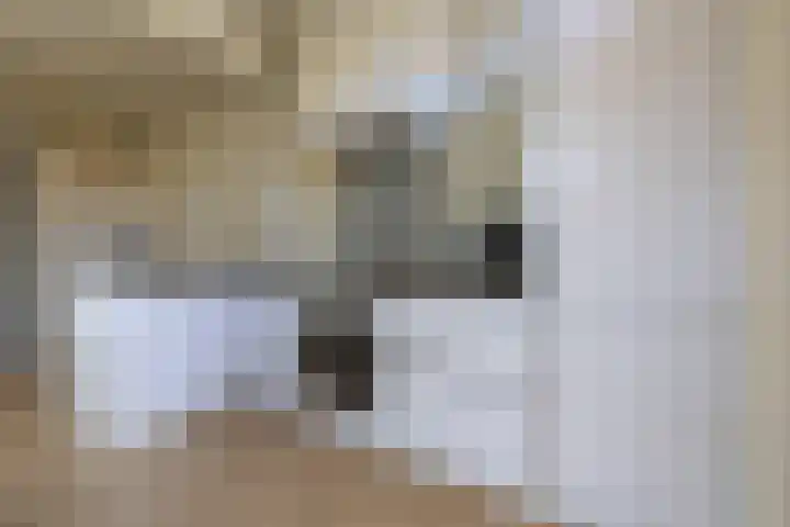 Frans Halsplantsoen 16 Muiderberg thumbnail 16