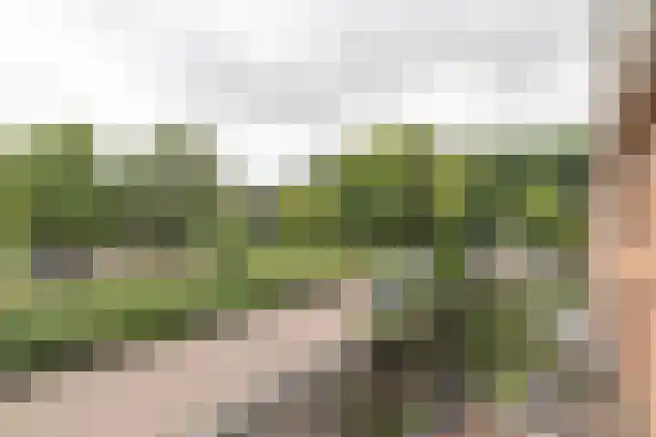 Frans Halsplantsoen 16 Muiderberg thumbnail 20