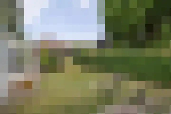 Frans Halsplantsoen 16 Muiderberg thumbnail 32