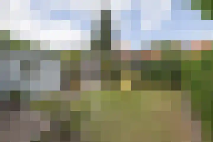Frans Halsplantsoen 16 Muiderberg thumbnail 33