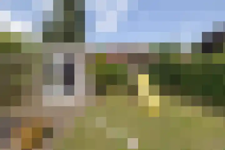 Frans Halsplantsoen 16 Muiderberg thumbnail 35