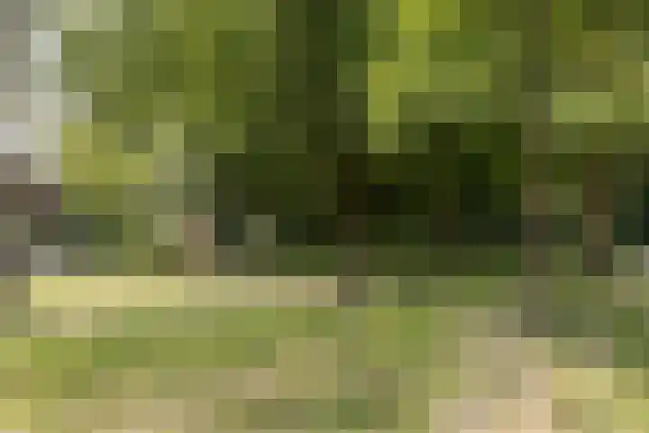 Frans Halsplantsoen 16 Muiderberg thumbnail 38