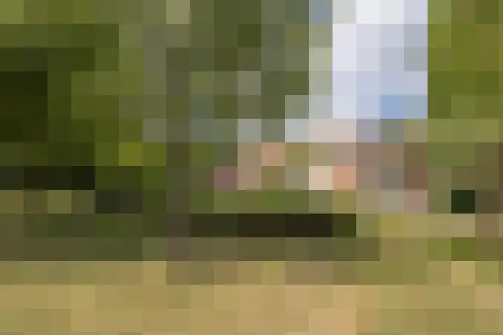 Frans Halsplantsoen 16 Muiderberg thumbnail 39