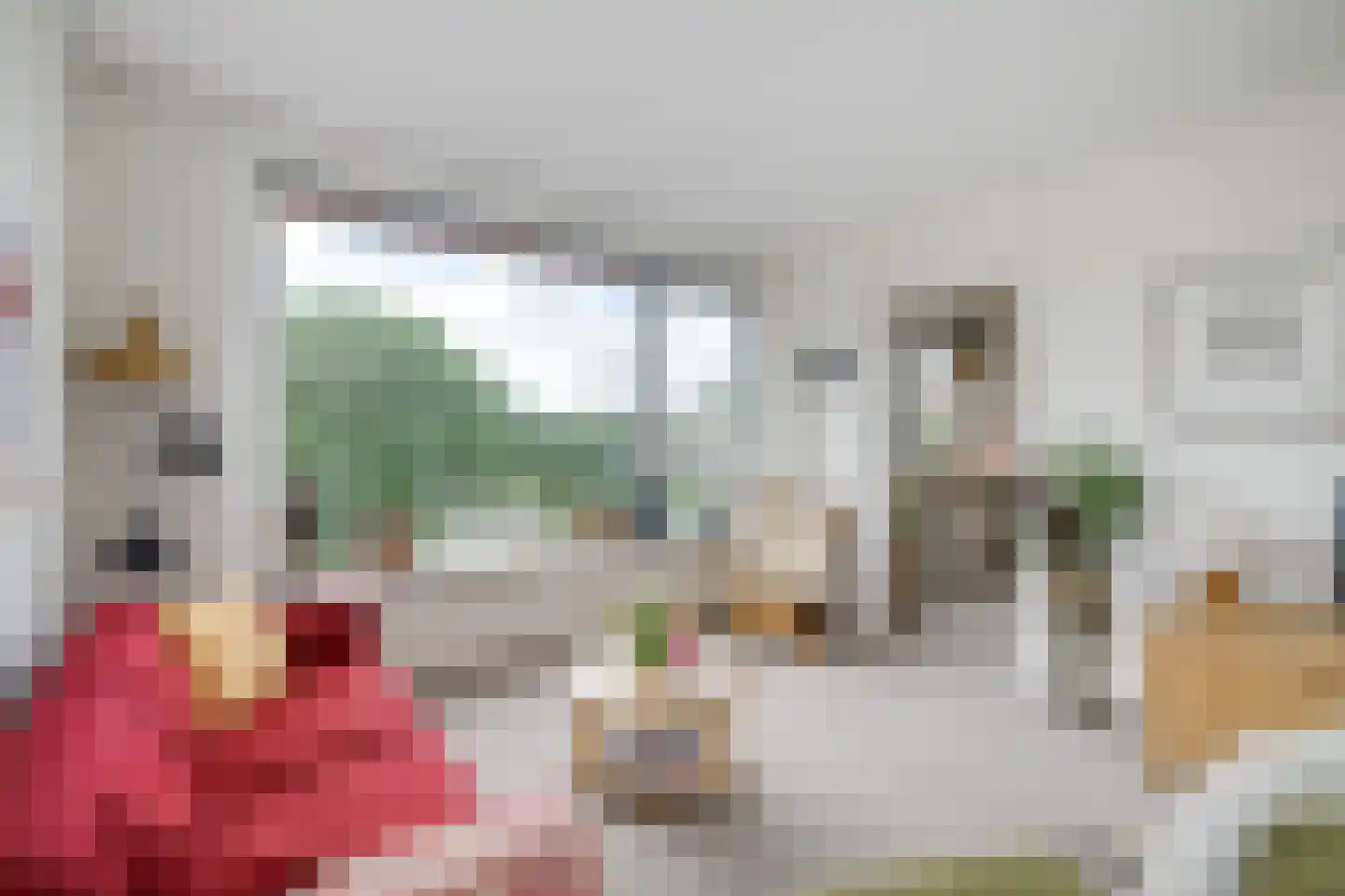 Frans Halsplantsoen 171 Voorschoten thumbnail 22