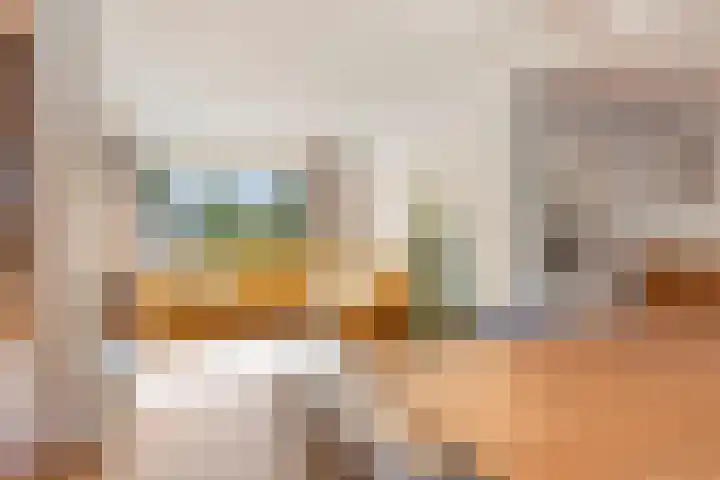 Frans Halsplantsoen 217 Voorschoten thumbnail 11