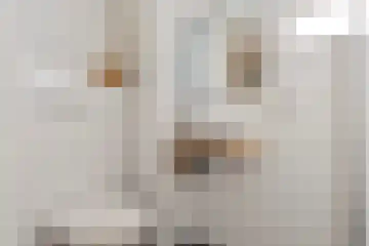 Frans Halsplantsoen 217 Voorschoten thumbnail 18