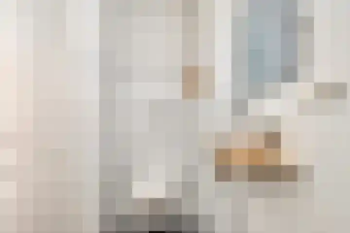 Frans Halsplantsoen 217 Voorschoten thumbnail 19