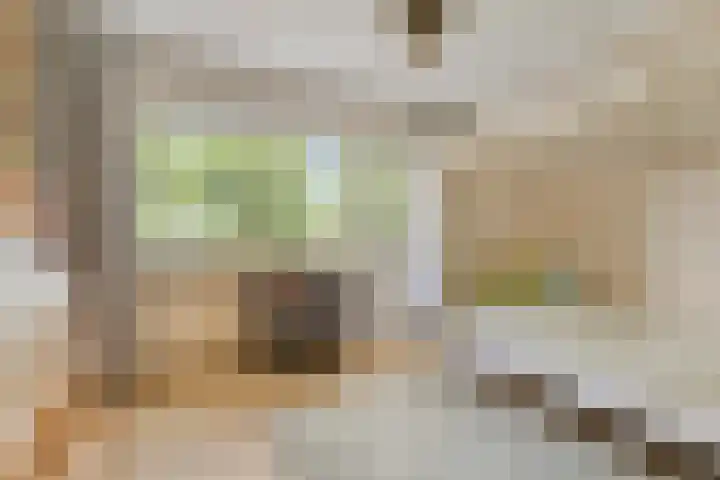 Frans Halsplantsoen 217 Voorschoten thumbnail 23