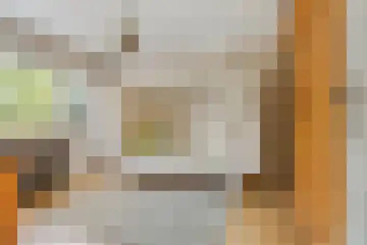 Frans Halsplantsoen 217 Voorschoten thumbnail 24