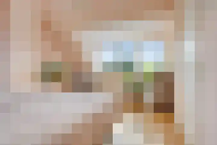 Frans Halsplantsoen 217 Voorschoten thumbnail 29