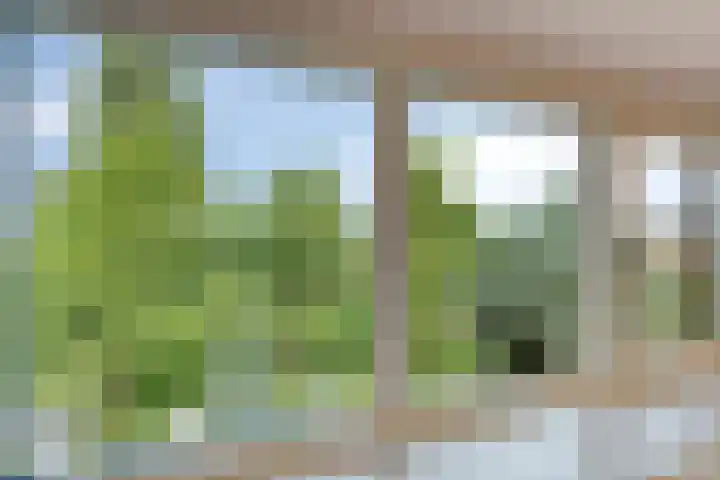 Frans Halsplantsoen 217 Voorschoten thumbnail 32