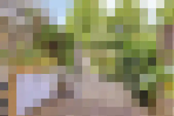 Frans Halsplantsoen 217 Voorschoten thumbnail 33
