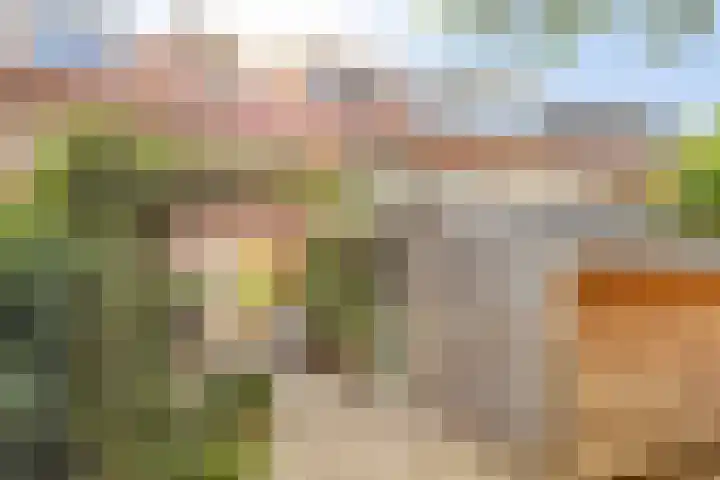 Frans Halsplantsoen 217 Voorschoten thumbnail 34