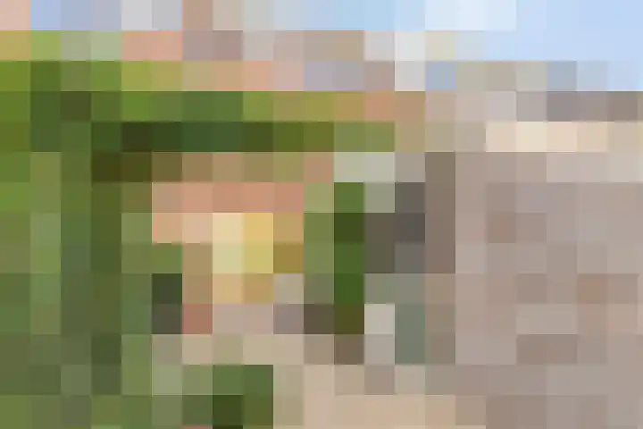 Frans Halsplantsoen 217 Voorschoten thumbnail 35