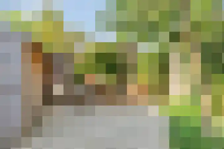 Frans Halsplantsoen 217 Voorschoten thumbnail 36