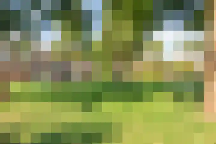 Frans Halsplantsoen 217 Voorschoten thumbnail 37