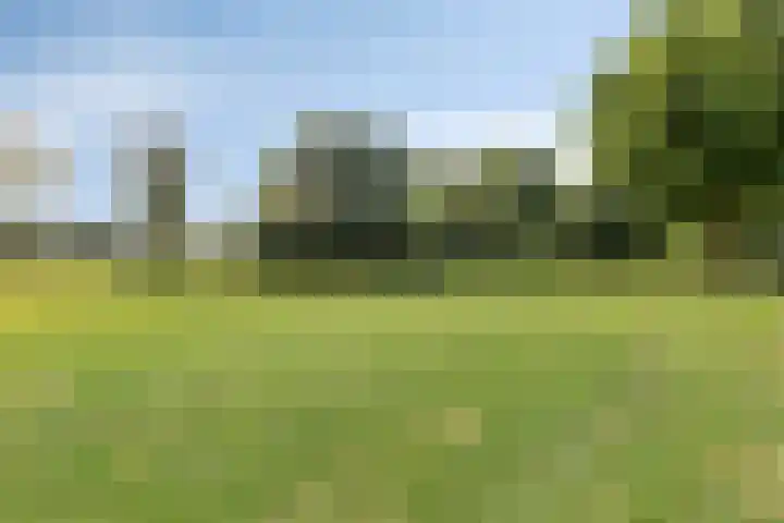 Frans Halsplantsoen 217 Voorschoten thumbnail 38
