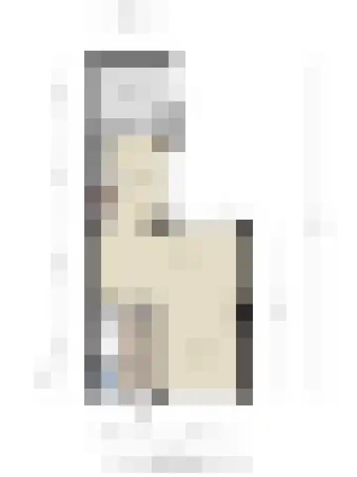 Frans Halsplantsoen 217 Voorschoten thumbnail 39