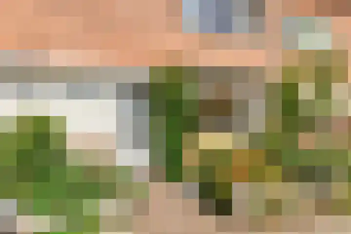 Frans Halsplantsoen 217 Voorschoten thumbnail 4