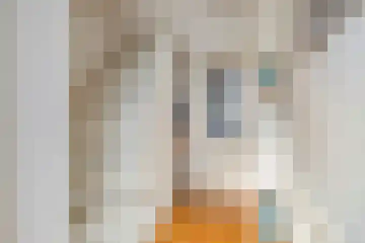 Frans Halsplantsoen 217 Voorschoten thumbnail 5