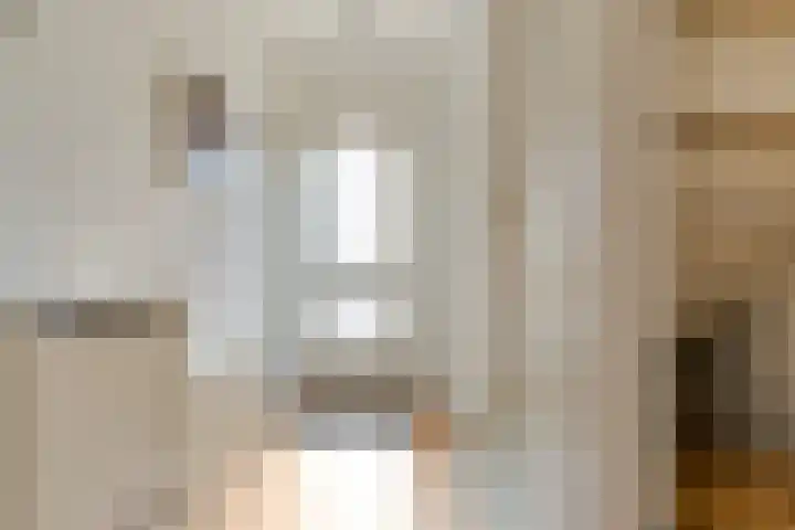 Frans Halsplantsoen 217 Voorschoten thumbnail 6