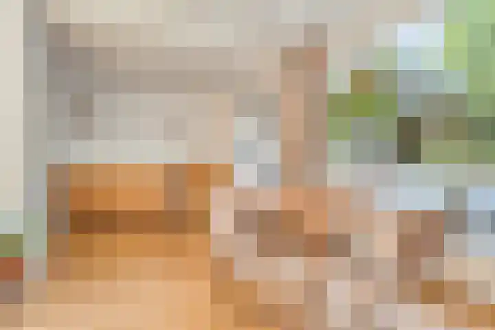 Frans Halsplantsoen 217 Voorschoten thumbnail 8