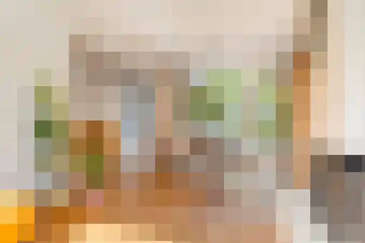 Frans Halsplantsoen 217 Voorschoten thumbnail 9