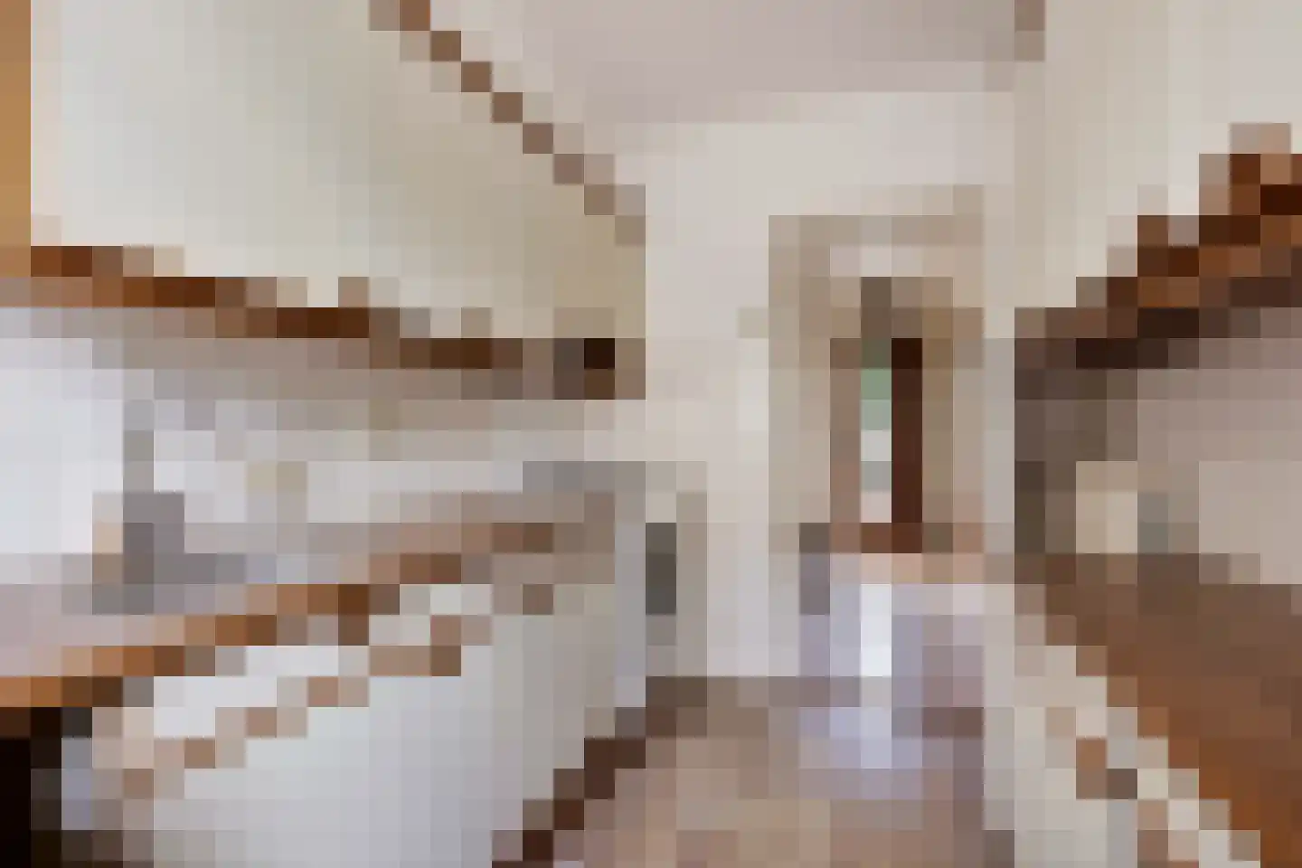 Frans Halsplantsoen 219 Voorschoten thumbnail 13