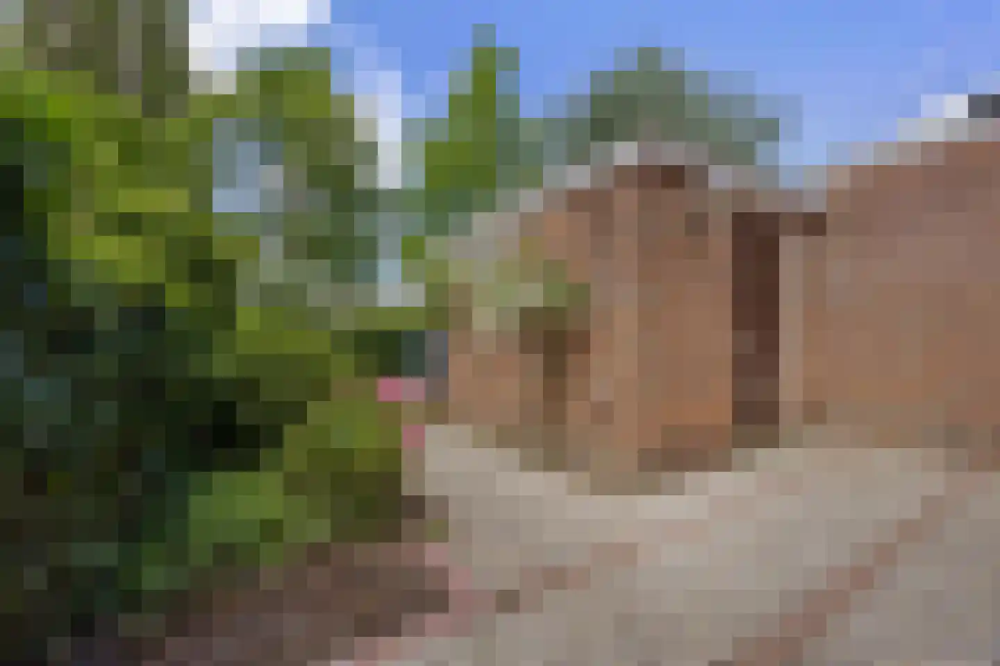 Frans Halsplantsoen 219 Voorschoten thumbnail 14