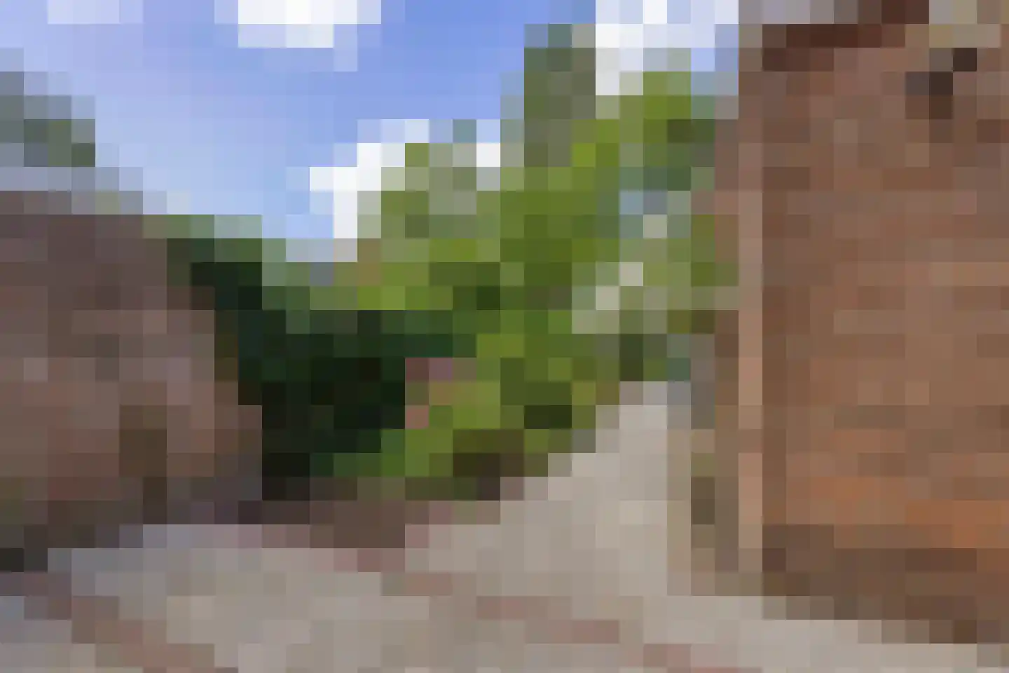 Frans Halsplantsoen 219 Voorschoten thumbnail 15