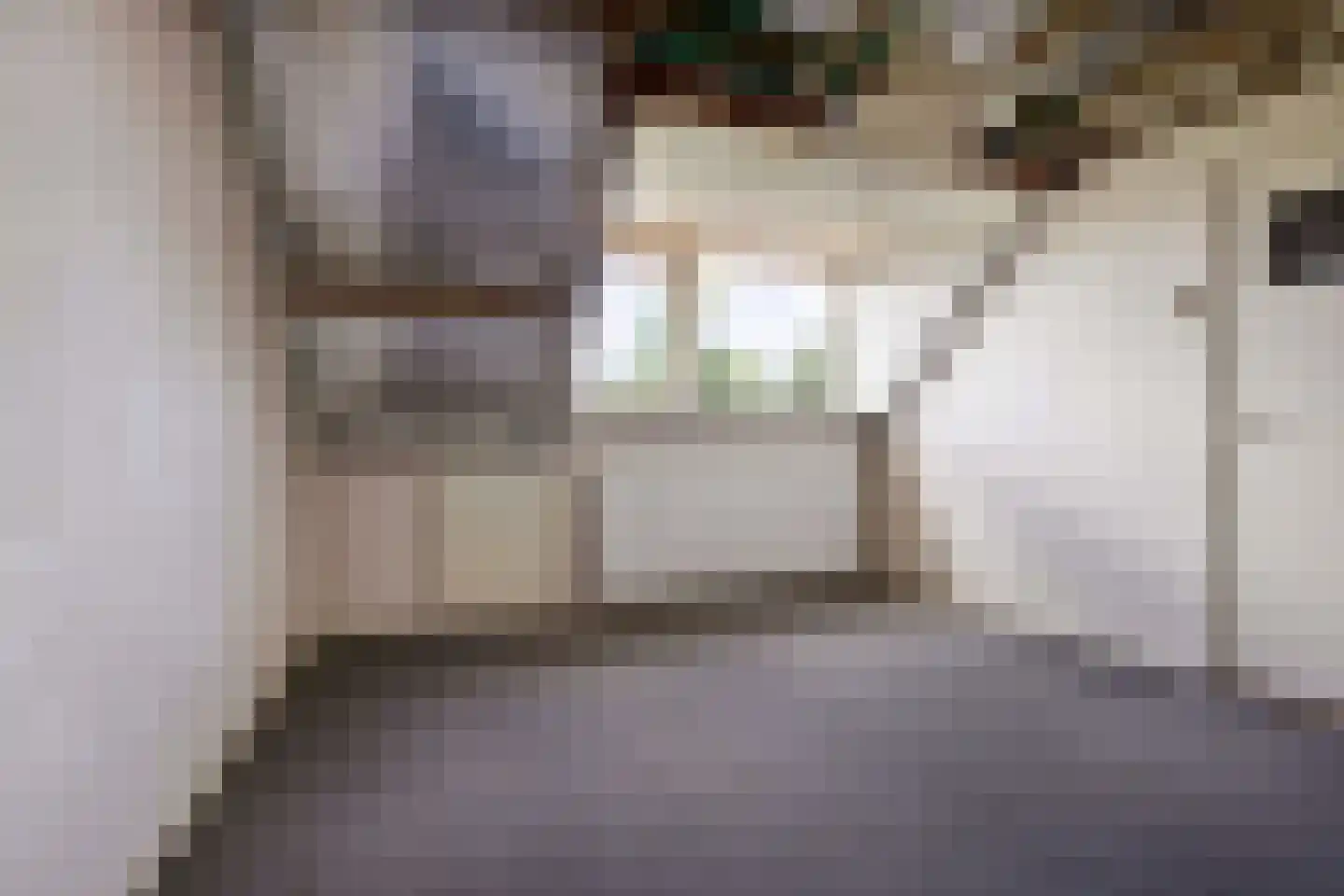 Frans Halsplantsoen 219 Voorschoten thumbnail 31