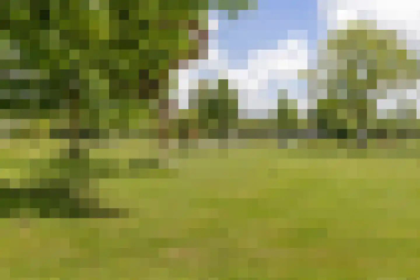 Frans Halsplantsoen 219 Voorschoten thumbnail 35