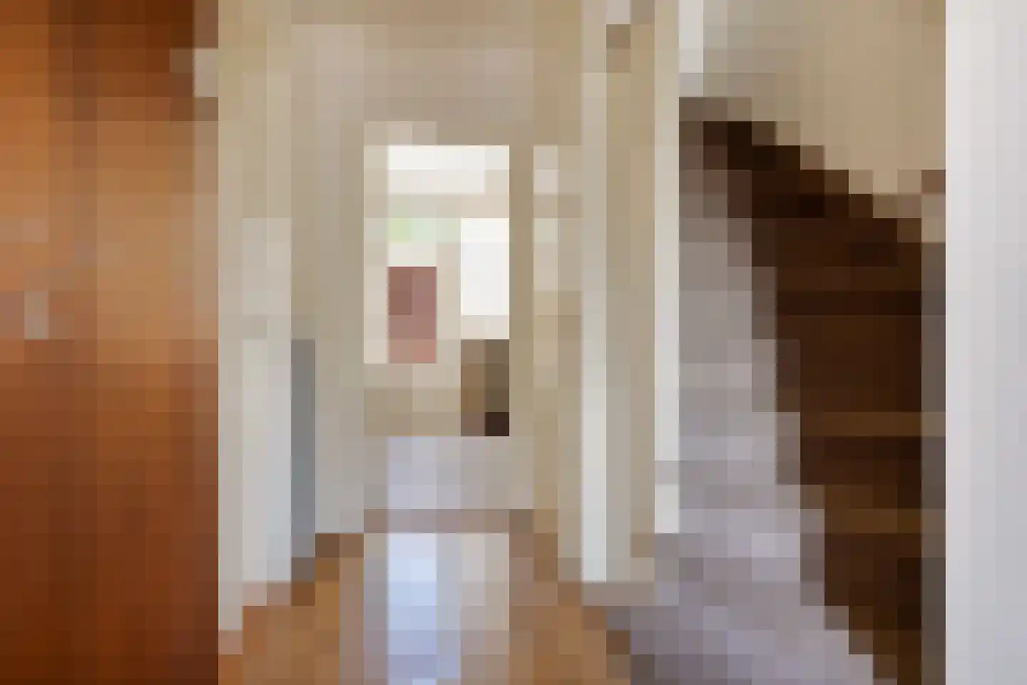 Frans Halsplantsoen 219 Voorschoten thumbnail 6