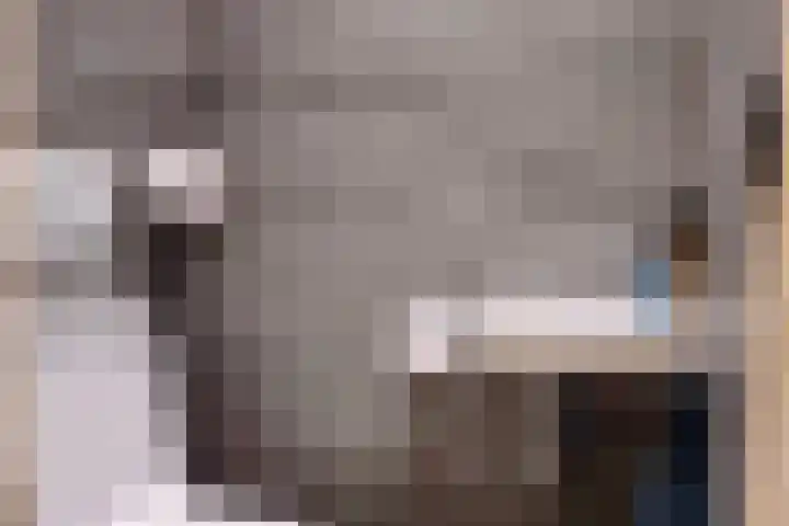 Frans Halsplantsoen 24 Muiderberg thumbnail 16
