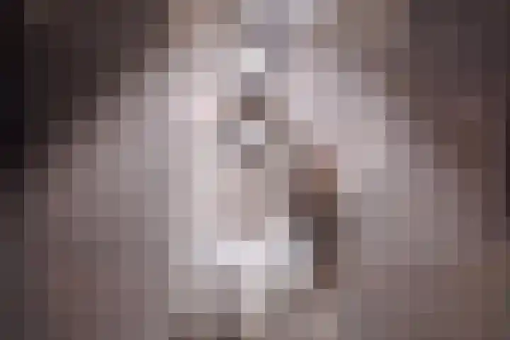 Frans Halsplantsoen 24 Muiderberg thumbnail 22