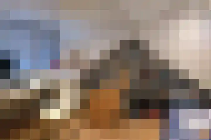 Frans Halsplantsoen 24 Muiderberg thumbnail 23