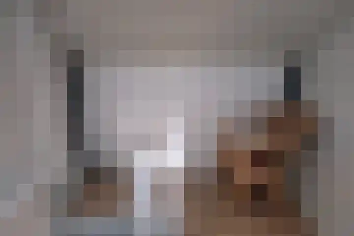 Frans Halsplantsoen 24 Muiderberg thumbnail 25