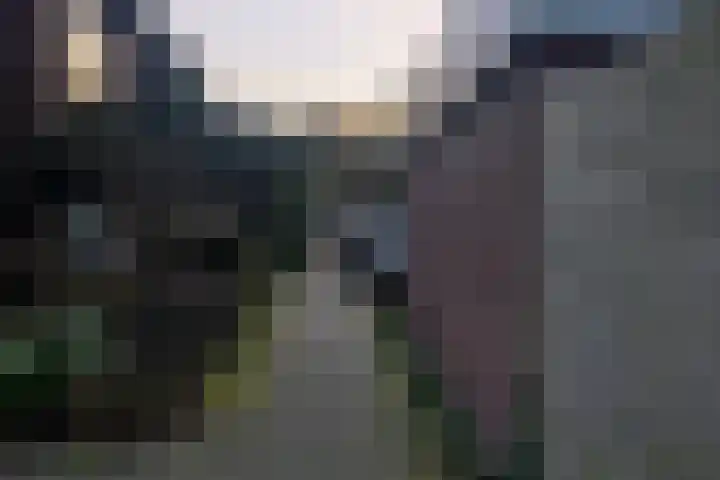 Frans Halsplantsoen 24 Muiderberg thumbnail 26