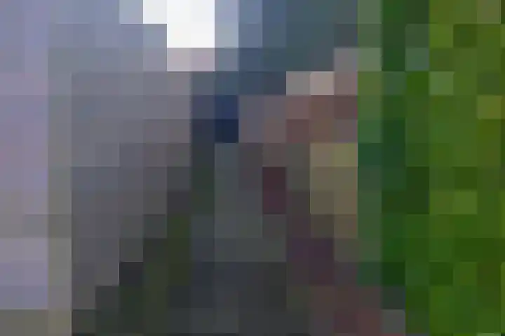Frans Halsplantsoen 24 Muiderberg thumbnail 27