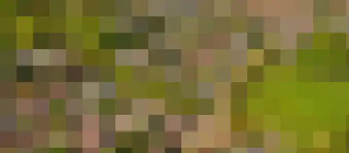 Frans Halsplantsoen 24 Muiderberg thumbnail 29