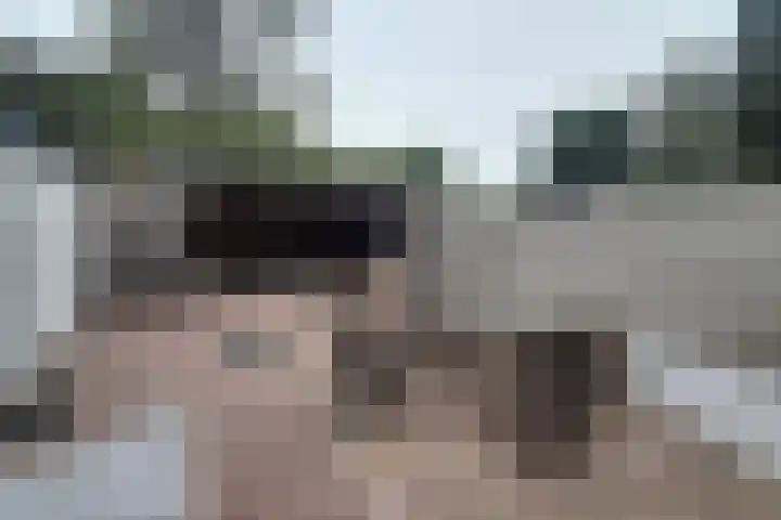 Frans Halsplantsoen 24 Muiderberg thumbnail 4