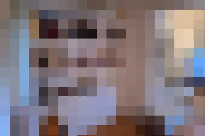 Frans Halsplantsoen 24 Muiderberg thumbnail 9