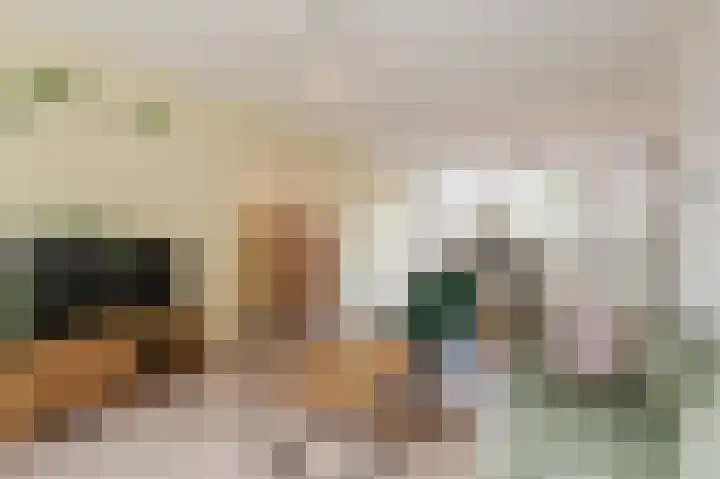 Frans Halsplantsoen 7 Voorschoten thumbnail 11