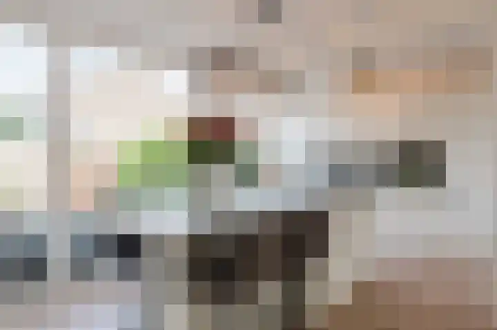 Frans Halsplantsoen 7 Voorschoten thumbnail 12