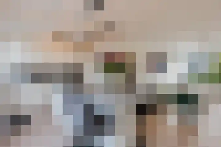 Frans Halsplantsoen 7 Voorschoten thumbnail 13