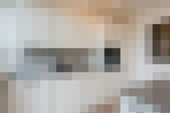 Frans Halsplantsoen 7 Voorschoten thumbnail 14