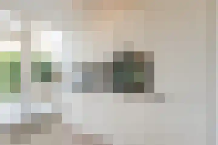 Frans Halsplantsoen 7 Voorschoten thumbnail 15