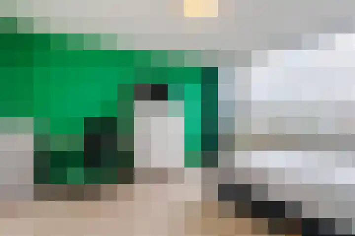 Frans Halsplantsoen 7 Voorschoten thumbnail 19