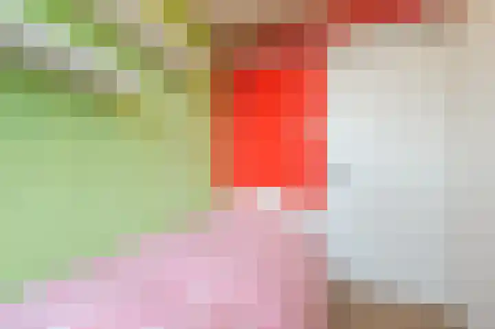 Frans Halsplantsoen 7 Voorschoten thumbnail 22