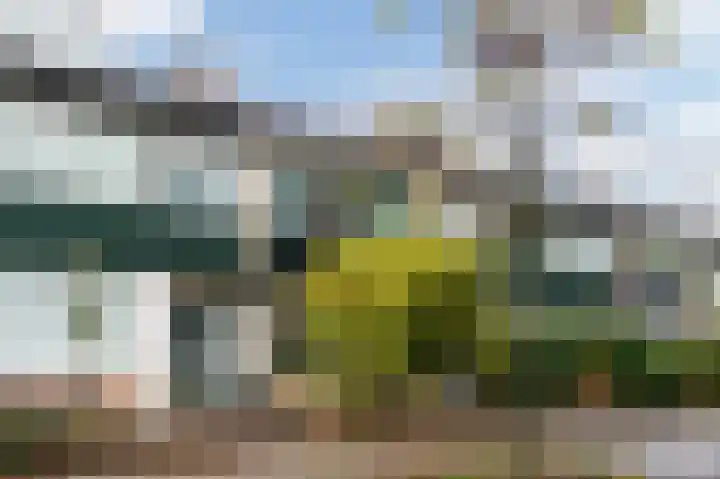 Frans Halsplantsoen 7 Voorschoten thumbnail 4
